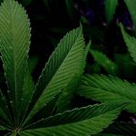 Julia perry - @juliaperry_420 - Instagram