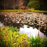 Julie Perryman - @jumamasquiltz - Instagram