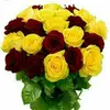 MOHAMMED_IQBAL_SHARE - @juliapfundd - TikTok