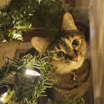 Julia Piatt - @greer4009_ - Instagram