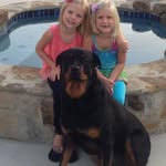 Julie Pickens Davis - @juliepickensdavis - Instagram