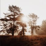 Julia Pierson - @juliapiersonphotography - Instagram