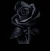 Julia Pauk - Facebook