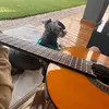 Juli P - @julianpili - TikTok