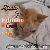 ࣪ ˖ ─ 𝐉u𝕝𝕚a 𝐏i𝕞ꫀntel ˃ᴗ˂ - @julia_pimentel.ofc - TikTok