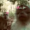 julia_pimhe - @julia_pimhe - TikTok