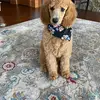 Julie Piontek - @julie.piontek - TikTok