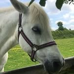 Julie Playford - @julieplayford - Instagram