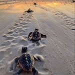 Julie Plourde - @juplourd - Instagram