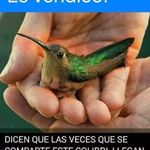julia  poblete - @poblete6421 - Instagram