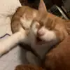 julie - @julia_powers - TikTok