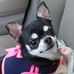 Julia Proffitt - Facebook