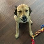 Julie Ralston - @jlralston77 - Instagram