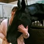 Julia Rawlings - @jwr0802 - Instagram
