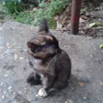 Юлия Бахтеева - @julia__rebel_2009 - Instagram