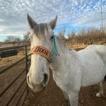 Julie Rector Huber - @jhuber7425 - Instagram