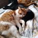Julia Redman - Facebook