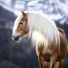 Julia Reichlinger - @julia.reichlinger6 - TikTok