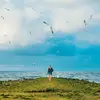 juliareinhardt - @juliareinhardt96 - TikTok