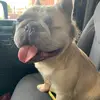 juliarenz - @julia.renz - TikTok