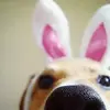 Julie Rex - @julierex63 - TikTok