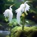 Julia Rincon - Facebook
