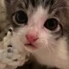 Juliarob_11 - @julia.robberts5 - TikTok