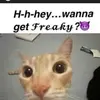 𝓙𝓾𝓵𝓲𝓪♡ - @julia._.rohrer - TikTok