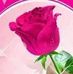 Julia Roque - Facebook