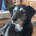 Julia Rosner - Facebook
