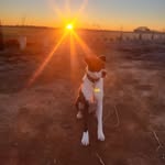 Julia ROUX - @mood_of_julia - Instagram