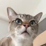 Julia Roux - @jul_ia2812 - Instagram