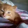 Julia Roux - @juliaroux02 - TikTok
