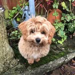 Julia Rowett - @juliarowett - Instagram