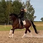 Julija Vasyutova - @julia_royal_horse_club - Instagram