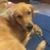 Julia Rucker - Facebook