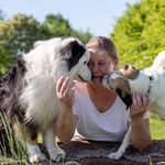 Julia Rust - @stauferpfoten - Instagram