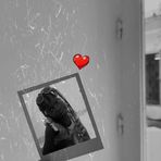Julia Samuel - Facebook