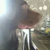 julia.sandberg - @julia.sandberg - TikTok