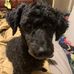 Julie Sargent - Facebook