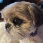 Julie Schoonover - @schoonover.jules - Instagram