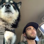 Julian Scribner - @julian.scribner - Instagram