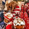 🧣☃️julia<3 - @juliaselfxo - TikTok