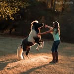 Julia & Shay - @_imaginehorses_ - Instagram