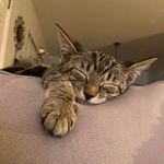 Julie Shoup - @shoupbone - Instagram