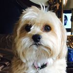 Julia Sickles - @sicklesjulia - Instagram