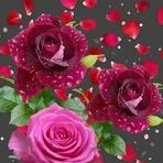 Julia Siles - Facebook