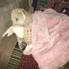 juliastickles - @juliastickles - TikTok