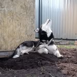 симовских юлия - @simovskikh5 - Instagram