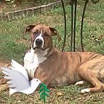 Julie Williams Simpkins - @j.w.sunflower - Instagram